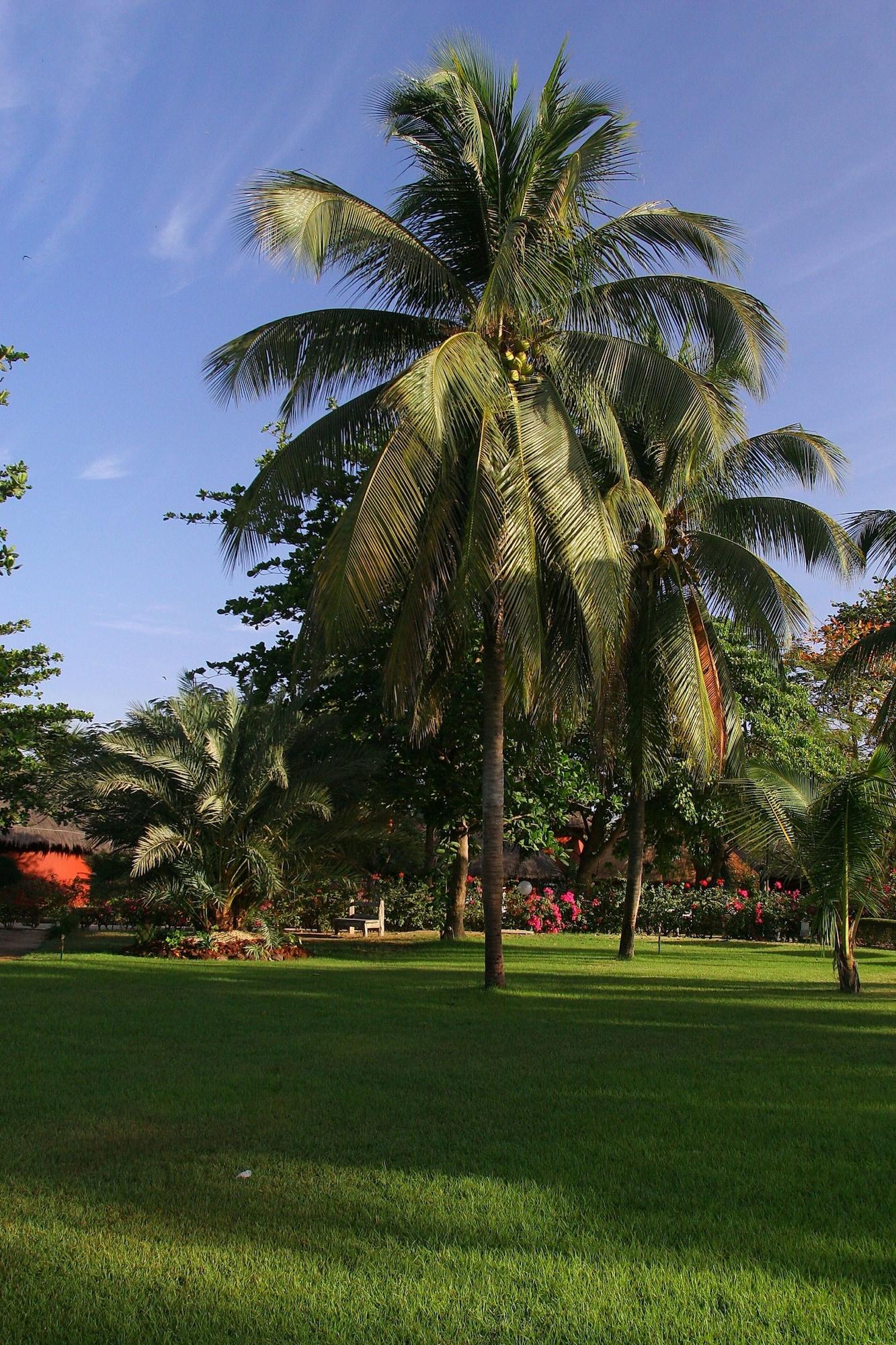 Hotel Royam Saly Portudal Kültér fotó